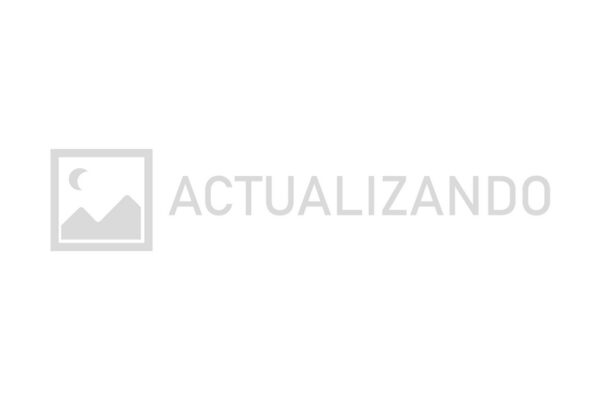 RADIADOR MT LAMINILLA 26MM NS D-21 (93-04)